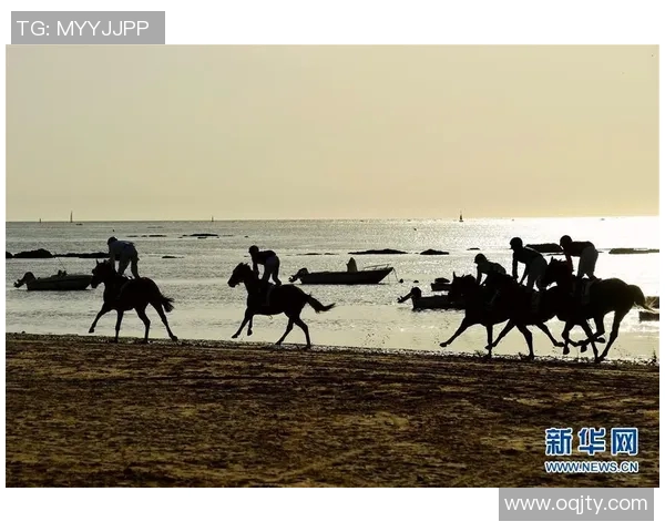 加的斯的安达卢西亚韧性探索与文化传承的交融之旅